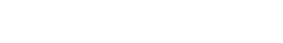 THE VIP MEDIA